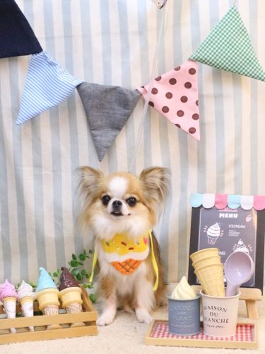 20250521プリュ―くん